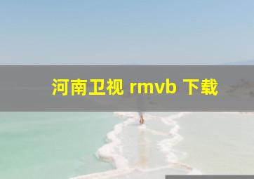 河南卫视 rmvb 下载